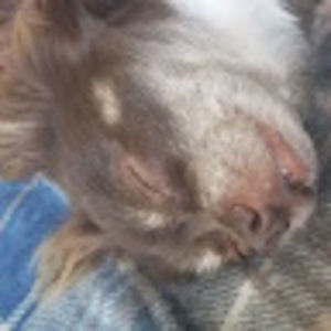 Meet your Posher, Briana